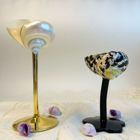 Ins Handmade Shell Conch Wine Glass Aromatherapy Dish