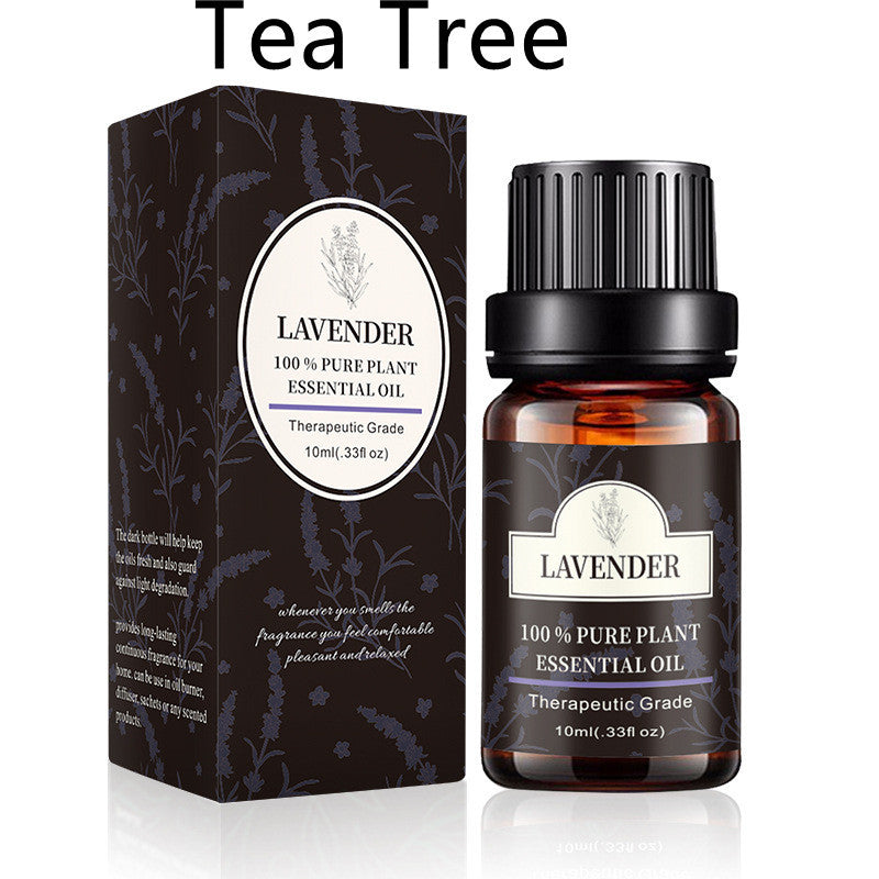 Single Essential Oil Plant Aromatherapy Lavender Tea Tree