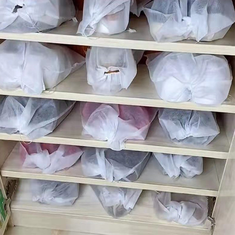 Household Shoes Non-woven Storage Bag
