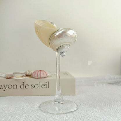 Ins Handmade Shell Conch Wine Glass Aromatherapy Dish