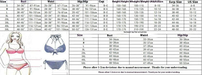 Plus Size Quick-drying Women's Split Skirt Bikini Swimsuit